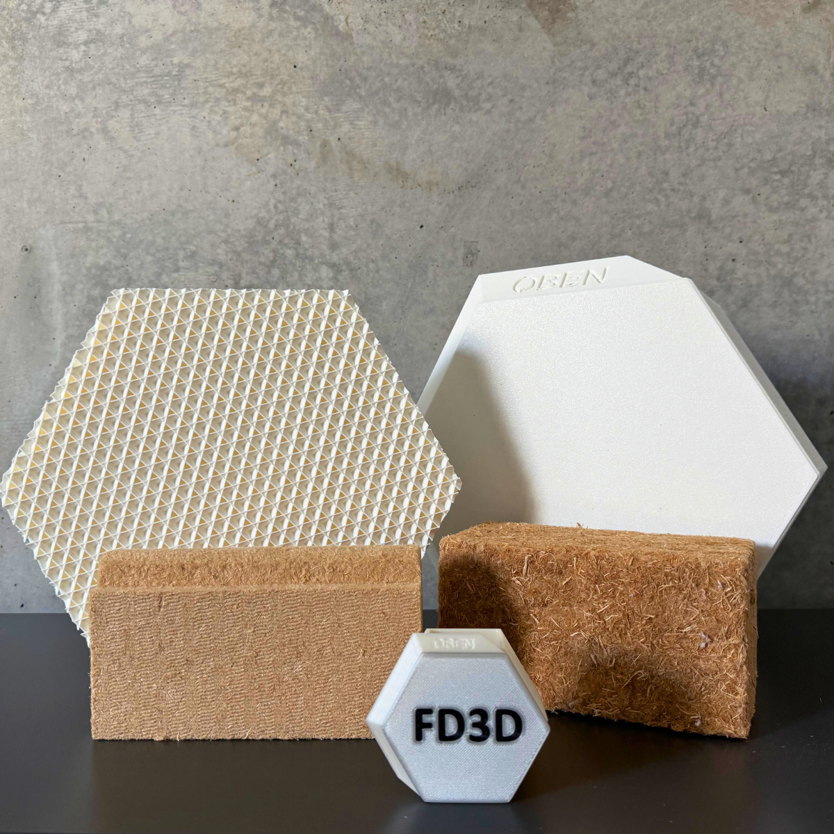 FD3D-Projekt: Innovative Fassadendämmung mithilfe von 3D-Scan- und 3D-Drucktechnologie zur energetischen Sanierung von Gebäuden.“